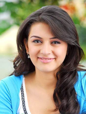 hansika,thamil movies,star heroines,twitter,followers,ajith,vijay,sruthihasan,samantha   హన్సిక ట్విట్టర్ ఫాలోవర్స్..! 